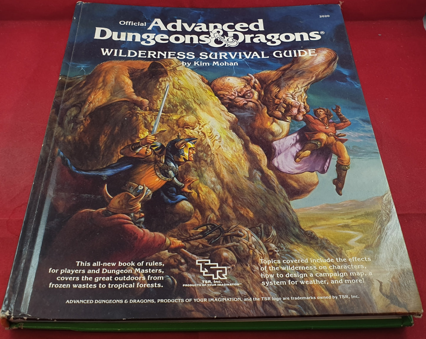 Official Advanced Dungeon & Dragons Wilderness Survival Guide Book Hardcover