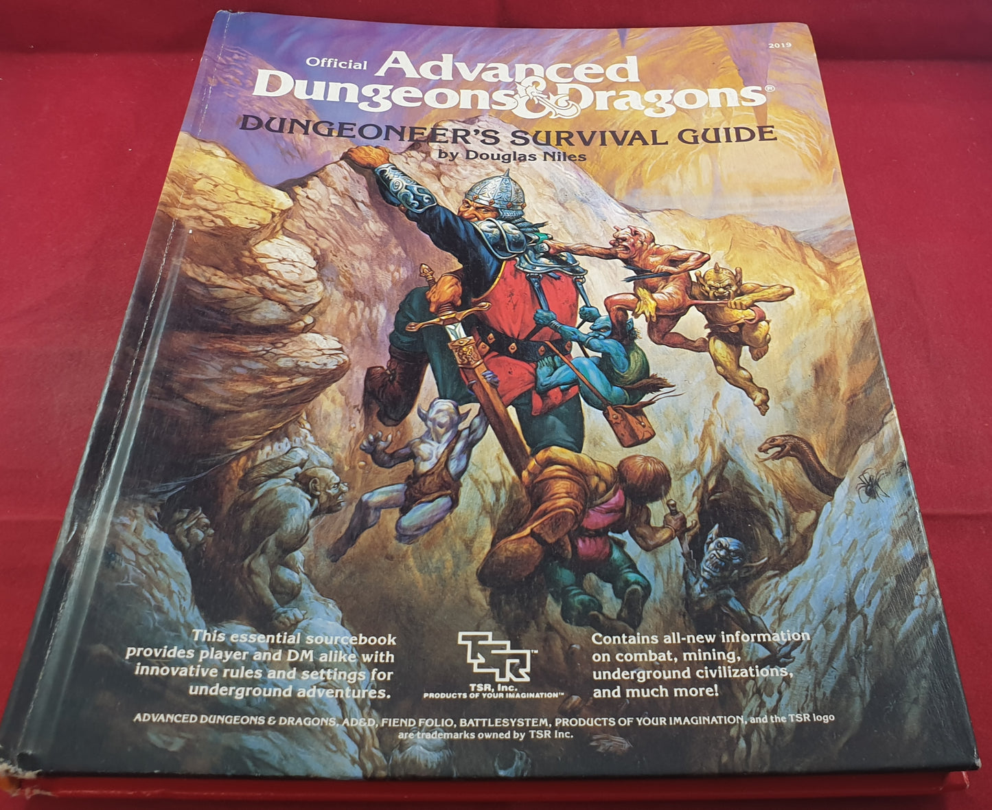 Official Advanced Dungeon & Dragons Dungeoneer's Survival Guide Book Hardcover