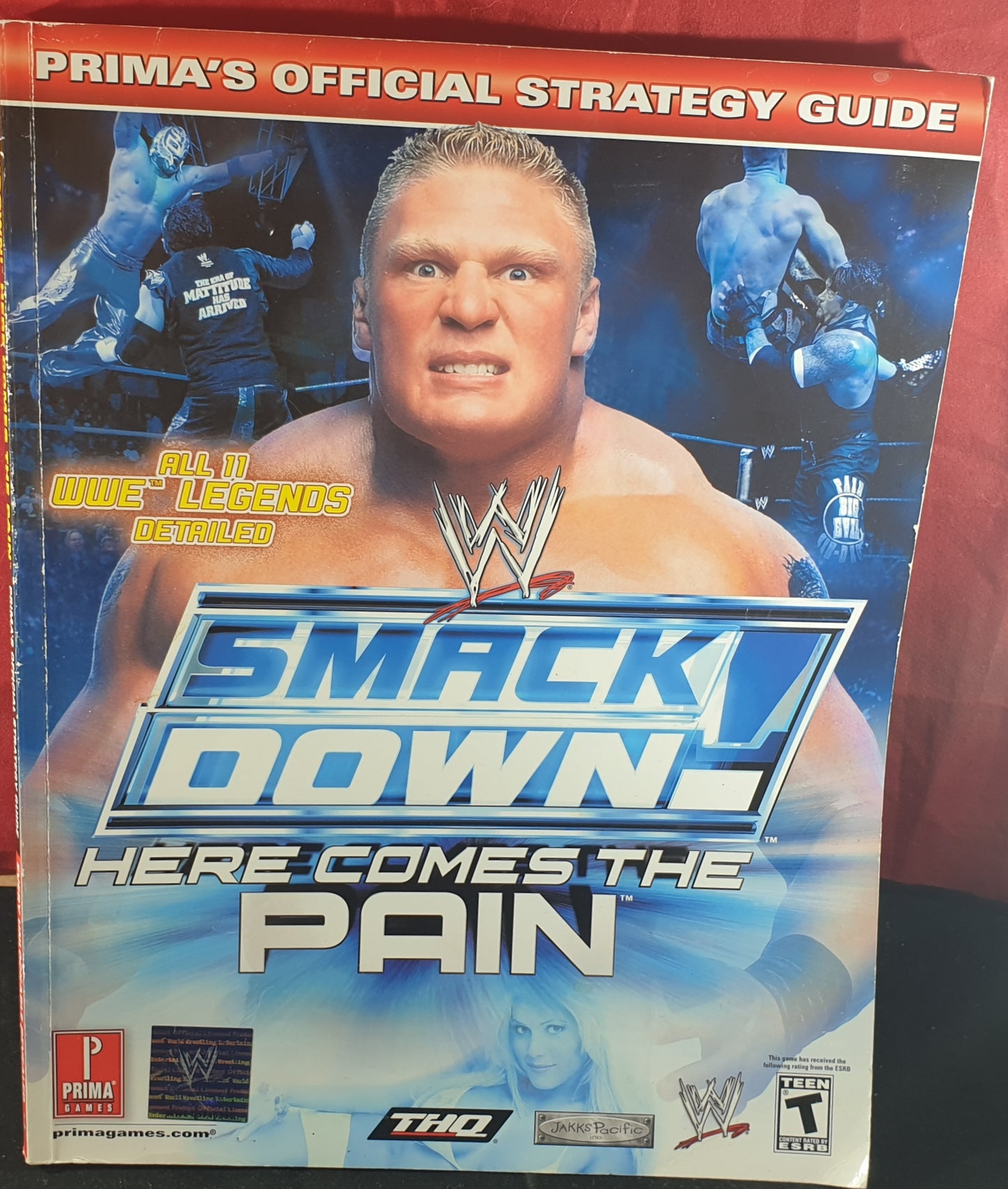 WWE Smackdown Here Comes the Pain Official Strategy Guide Book