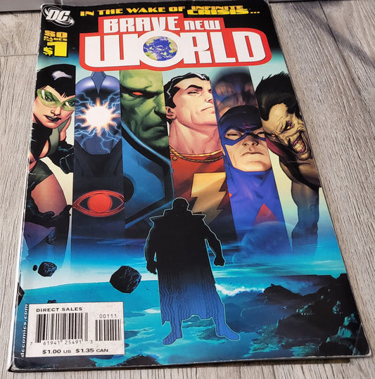 In the Wake of Infinite Crisis Brave New World DC Universe comic